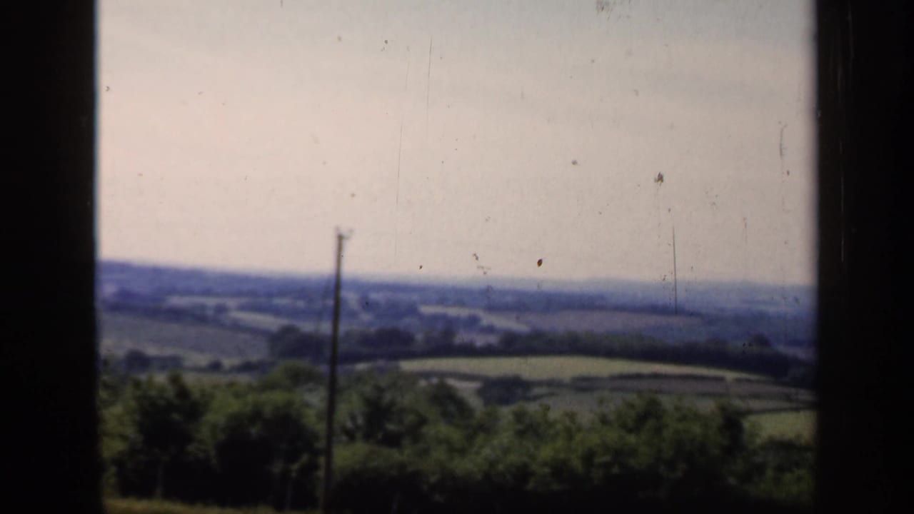 1949 England rural vista with dark foreground trees, a utility pole, distant fields, and a hazy horizon.