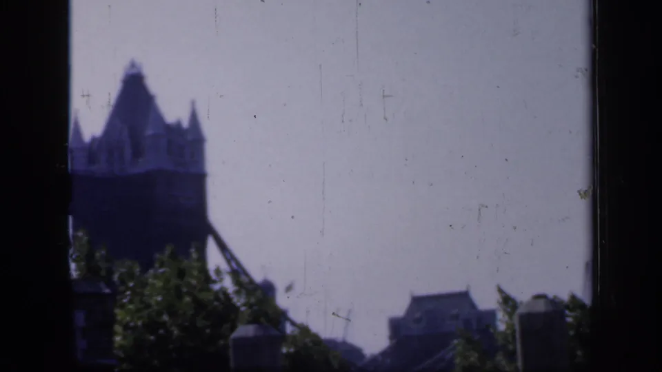 Soft 8mm view of Tower Bridge in London, partly obscured by a dark vertical window mullion and foreground greenery.