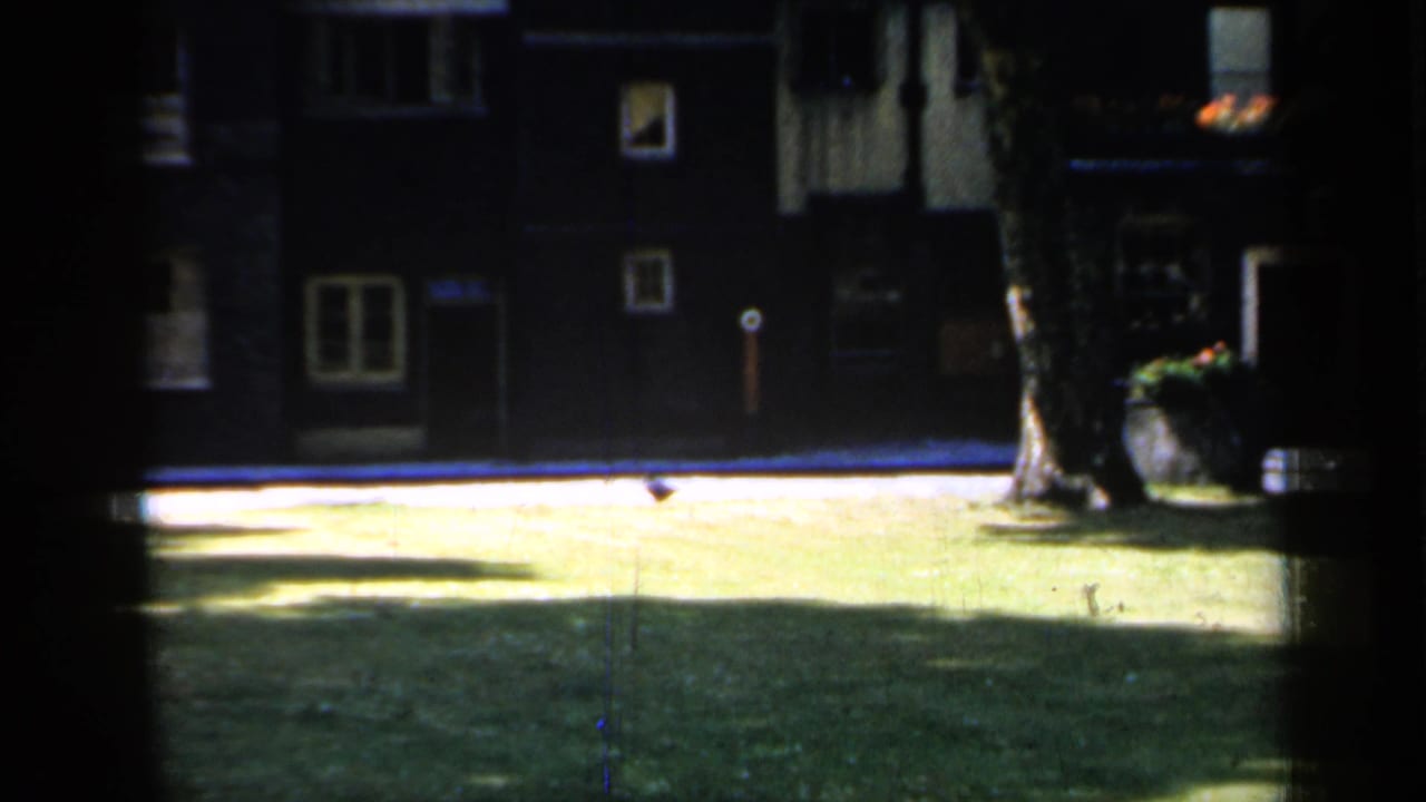 Similar courtyard view with lawn, shadowed buildings, and a tree beside a doorway.