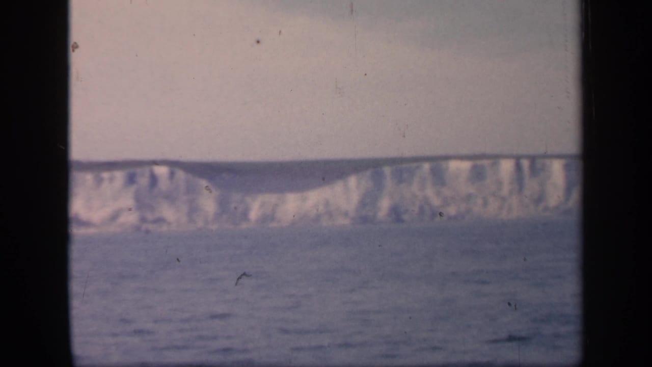 Soft 8mm frame of English chalk cliffs extending across the horizon, with calm sea below and muted overcast light.