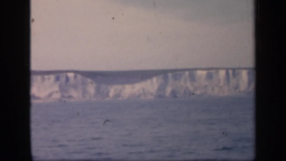 Soft 8mm frame of English chalk cliffs extending across the horizon, with calm sea below and muted overcast light.