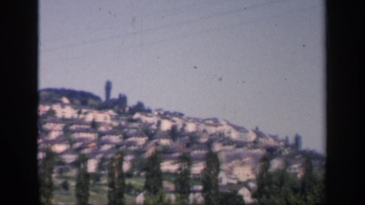 Soft distant view of a hillside village behind tall trees and dark film edges.