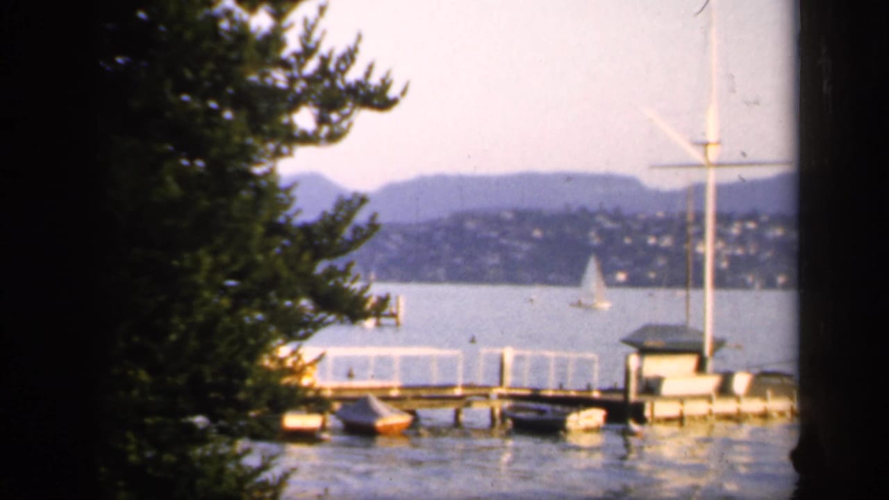 Lakeside pier with small boats, a sailboat on the water, hillside houses, and a tree framing the left edge.
