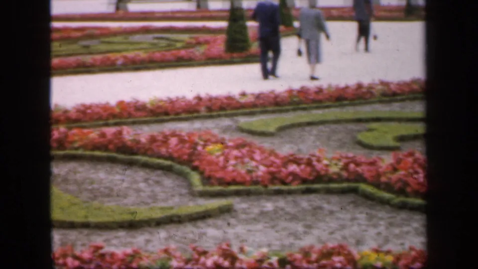 1949 France 8mm frame showing visitors from behind on a garden walkway, with pink beds and clipped green borders nearby.