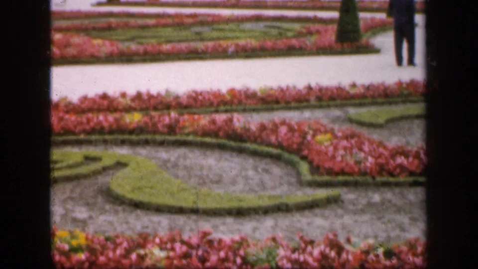 1949 France 8mm frame showing patterned hedges and pink flowerbeds beside a pale path, with a distant visitor at the edge.