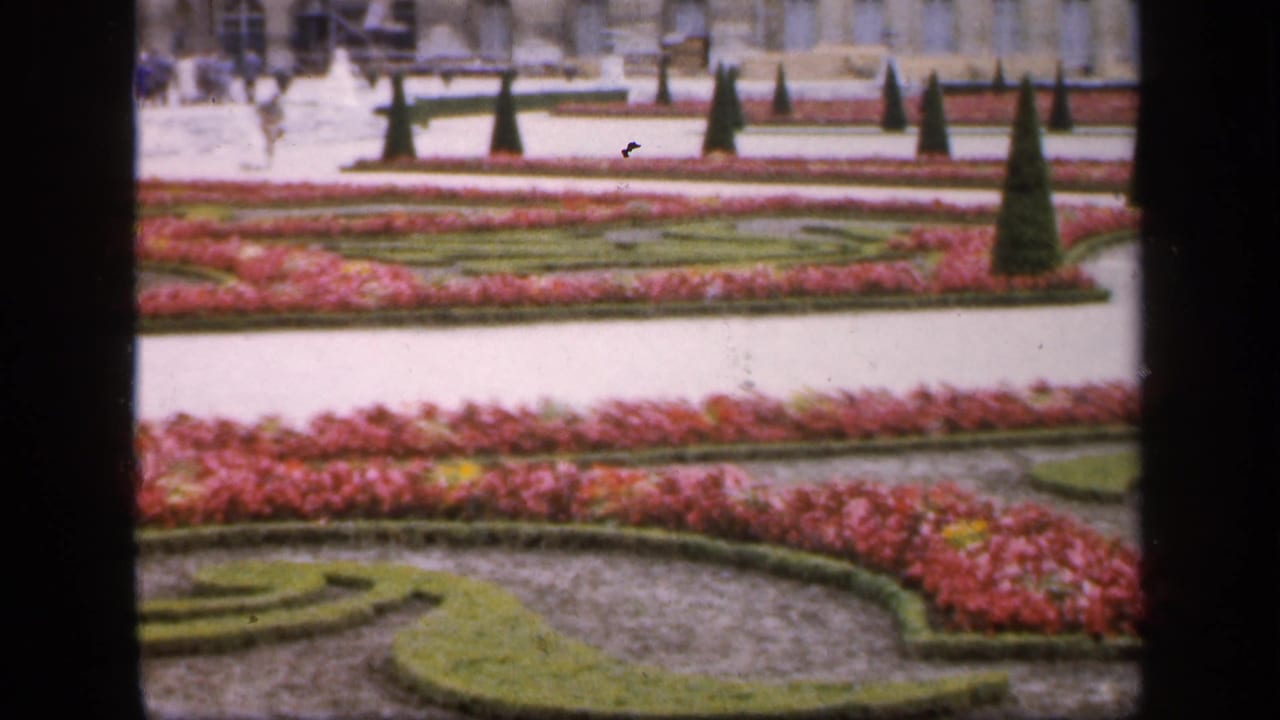 1949 France 8mm frame showing ornamental parterres, pink flowerbeds, green hedges, pale paths, and small distant visitors in a formal garden.