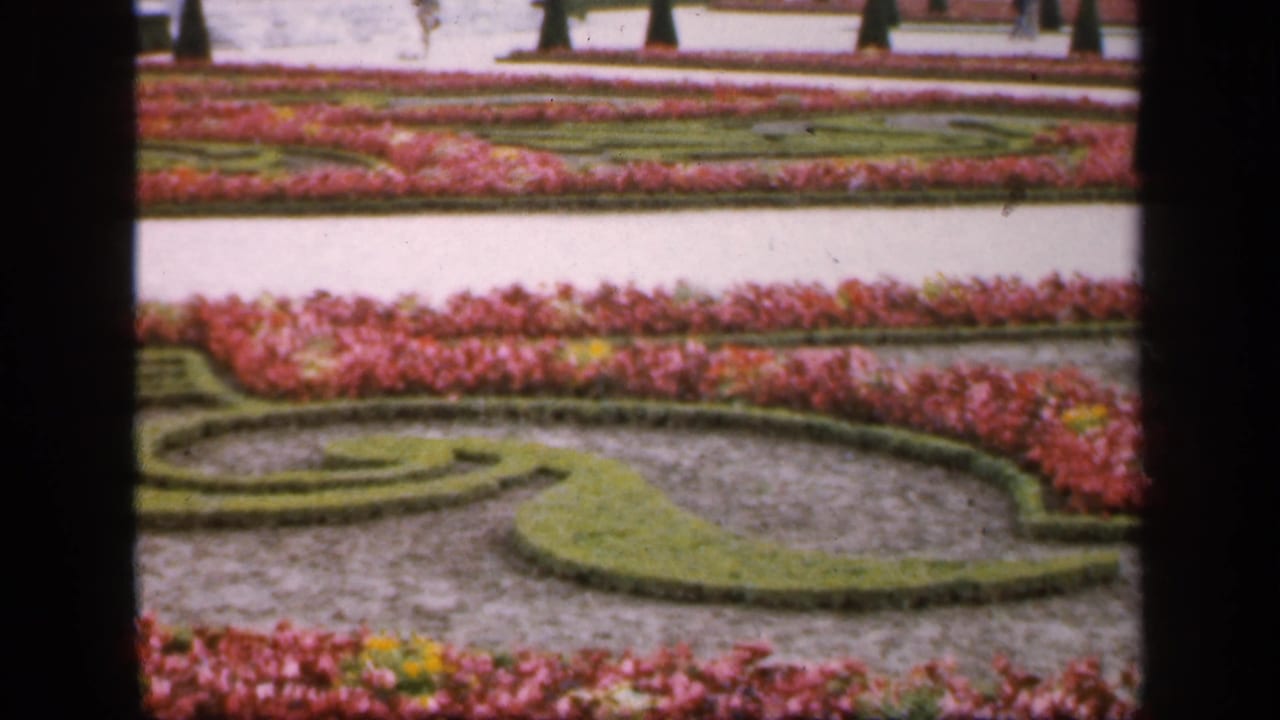 1949 France 8mm frame of a formal garden with curved green hedge patterns, red and pink planting beds, pale paths, and topiary in the distance.