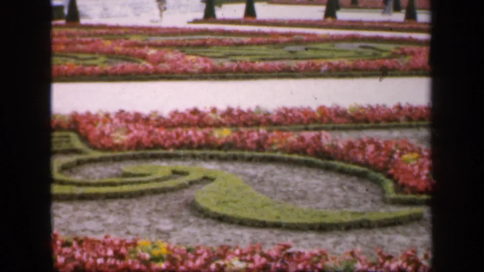 1949 France 8mm frame of a formal garden with curved green hedge patterns, red and pink planting beds, pale paths, and topiary in the distance.