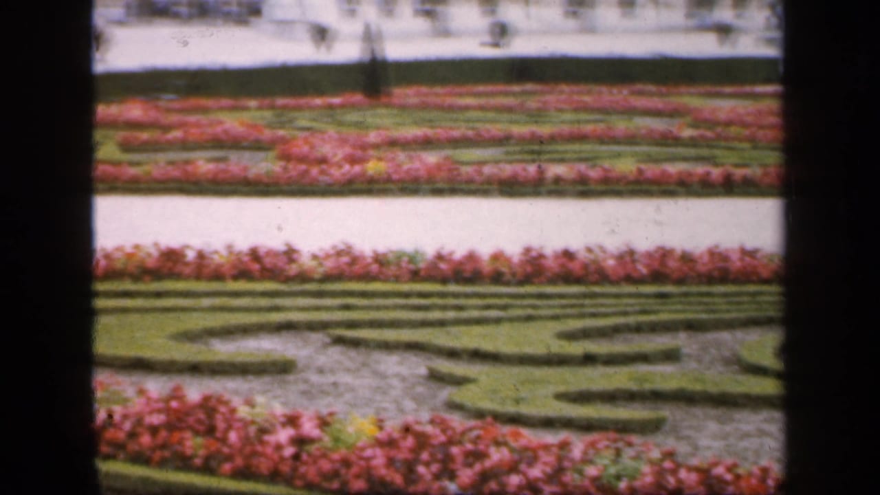 1949 France home-movie frame showing formal gardens with red flowerbeds, clipped hedges, paths, and a pale palace facade in the background.