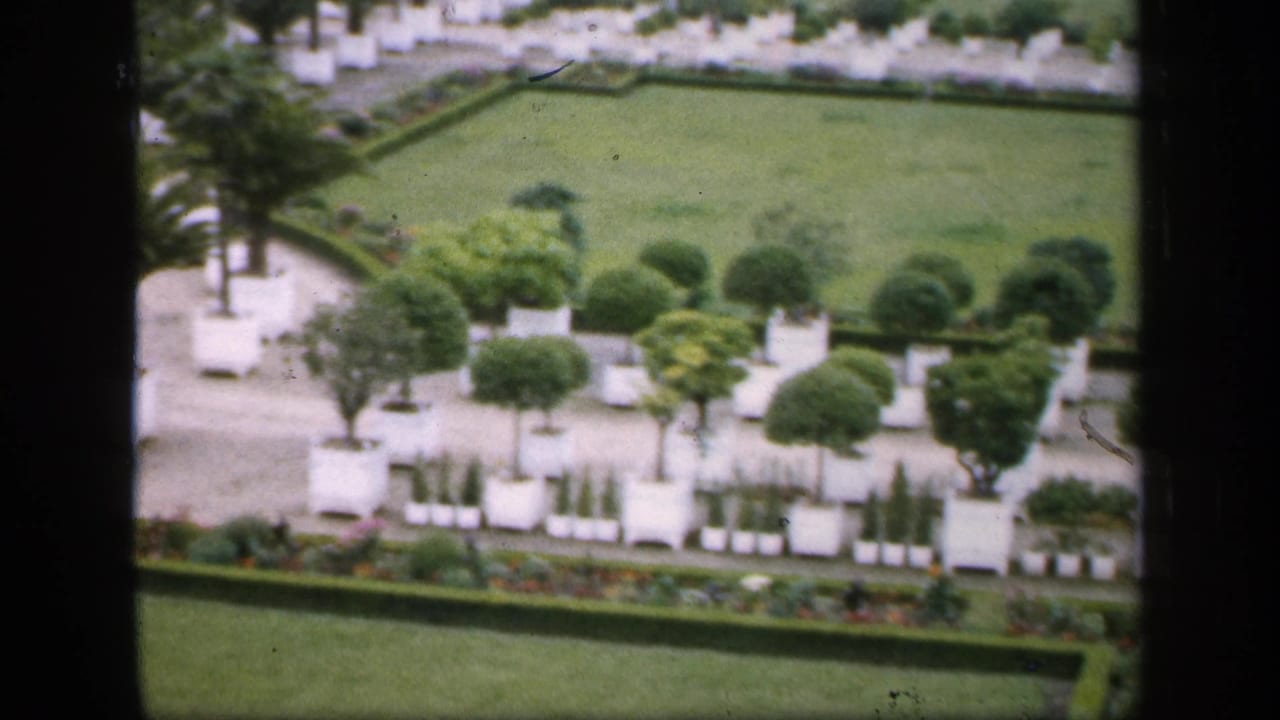 Elevated garden view with rows of white planters, trimmed trees, lawn, and flower border.