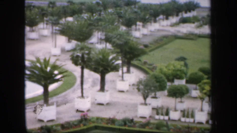 1949 France 8mm frame looking down over curving garden paths, palm-like trees, white planters, trimmed shrubs, hedges, and flowerbeds.