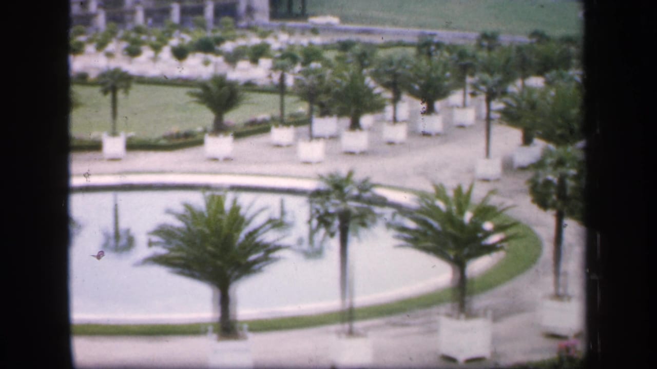 Formal garden seen through dark window bars with circular pool, potted palms, lawns, and a building beyond.