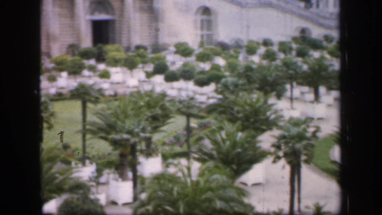 Formal garden with small palmetto trees and a pale stone building beyond.