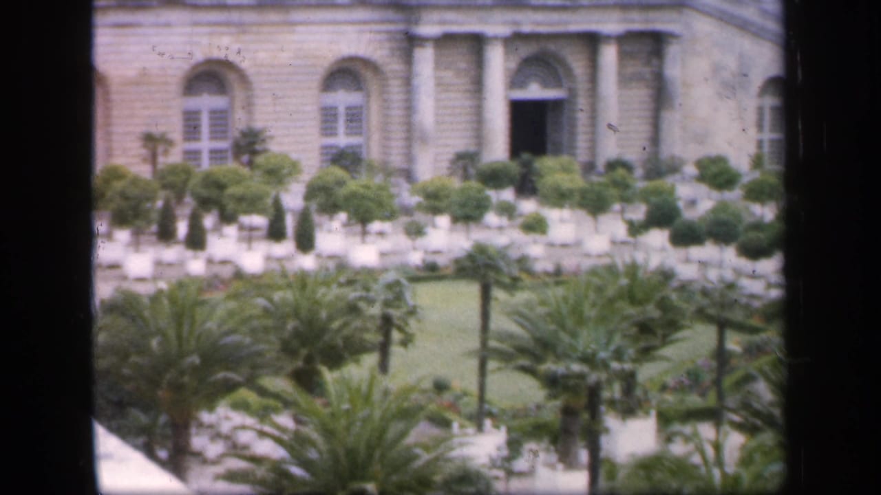 Garden beds with palmetto trees in front of a columned stone building.