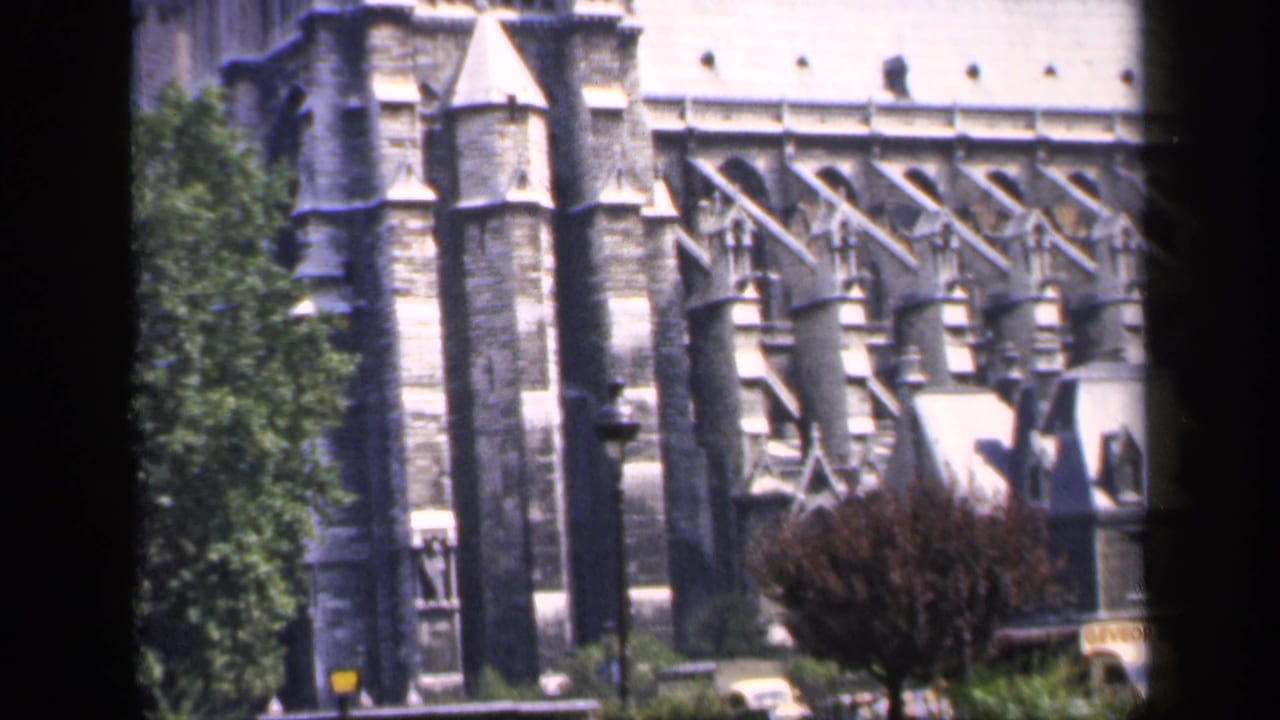 Notre-Dame stone buttresses and trees seen through dark film borders.