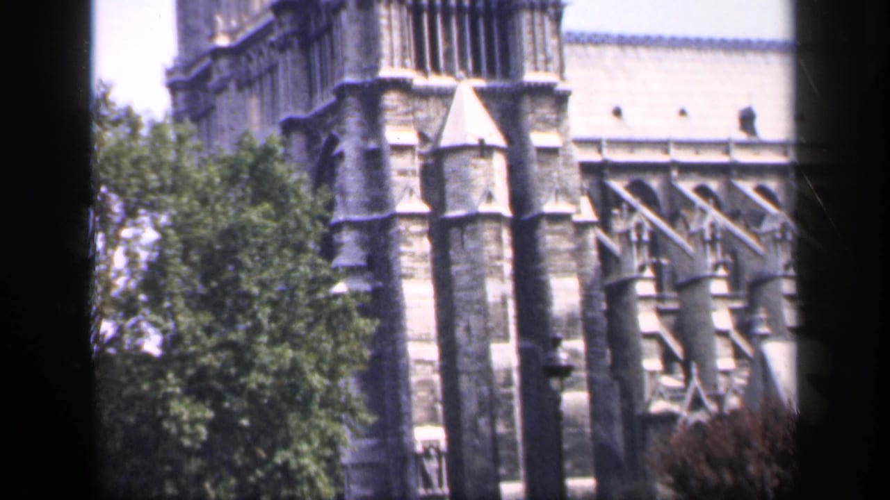 Cathedral buttresses and tower edge with trees in the foreground.