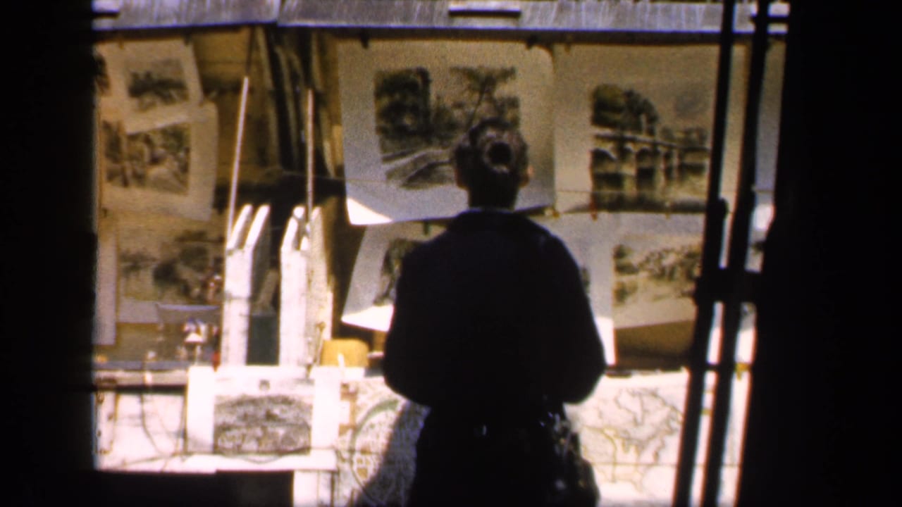 Person seen from behind looking toward an outdoor wall of displayed photographs.