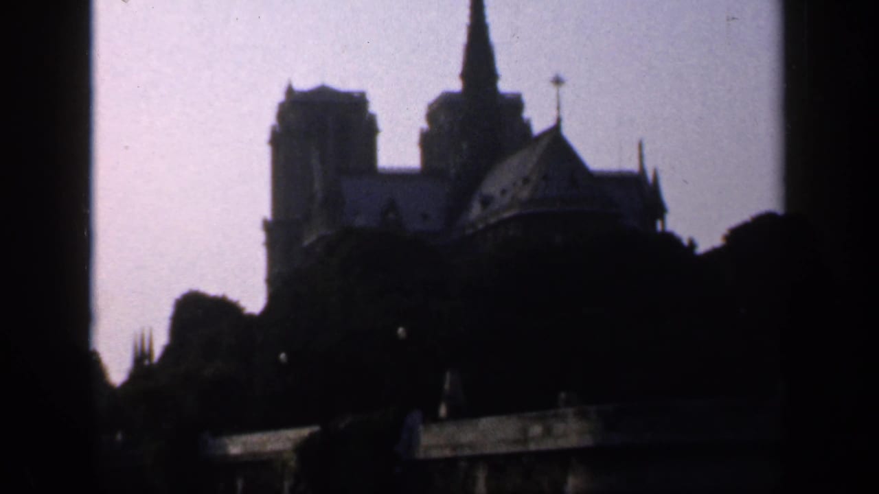 Dark silhouetted view of Notre-Dame Cathedral behind trees and a low wall.