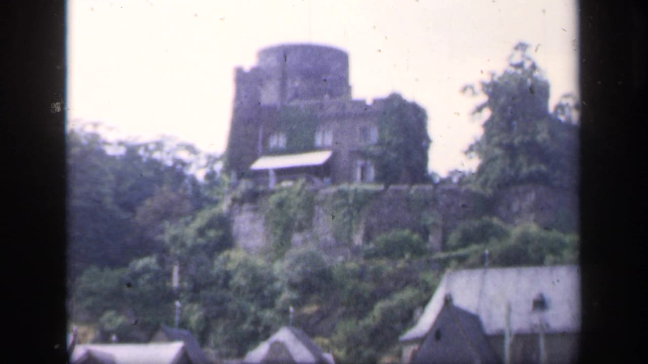 Soft 8mm view of a stone tower above trees and village rooftops.