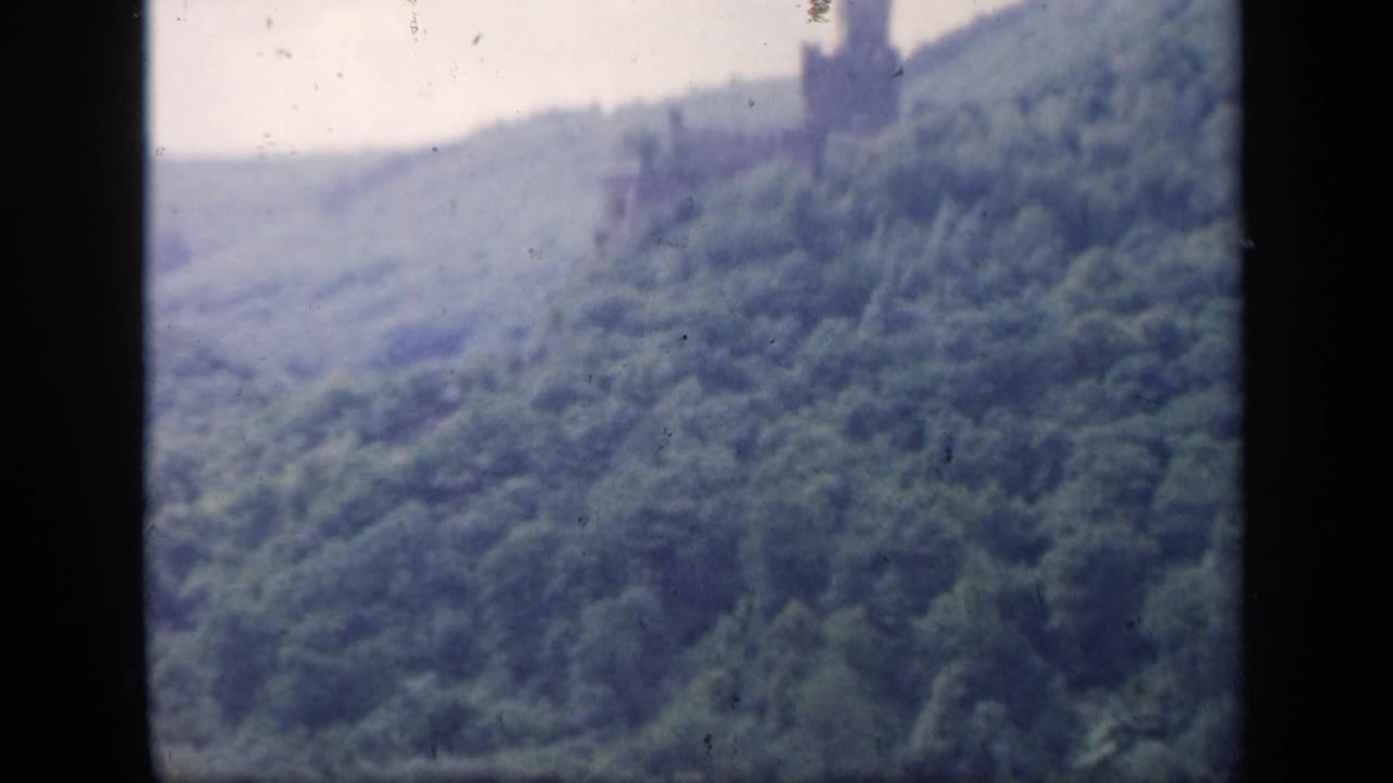 1949 Ireland 8mm frame showing dense green woodland and a far-off ruin on the hillside ridge.