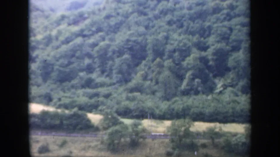 1949 Ireland home-movie frame of a green valley below a wooded slope, with pale fields and a road or track visible.