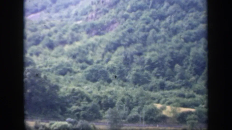 1949 Ireland 8mm frame of a wooded hillside, valley trees, and pale clearings near the lower edge of the slope.