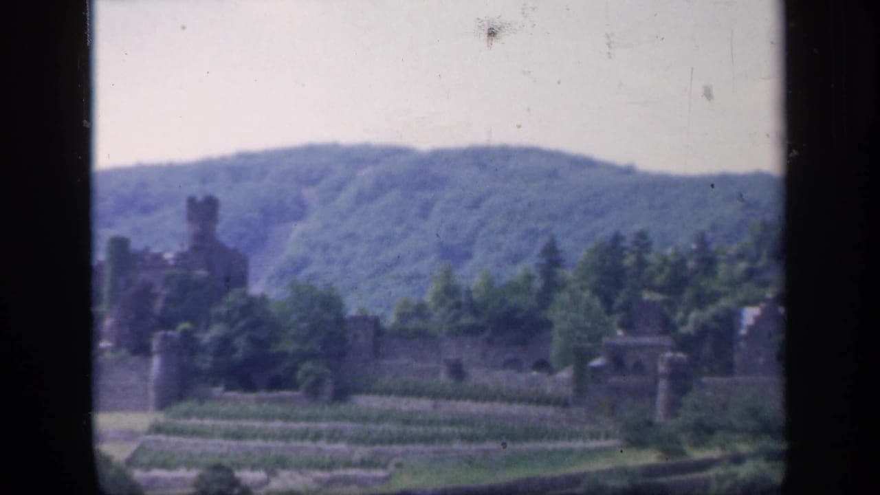 Distant Irish castle ruins and stone walls appear across terraced garden rows, framed by trees and soft green hills.