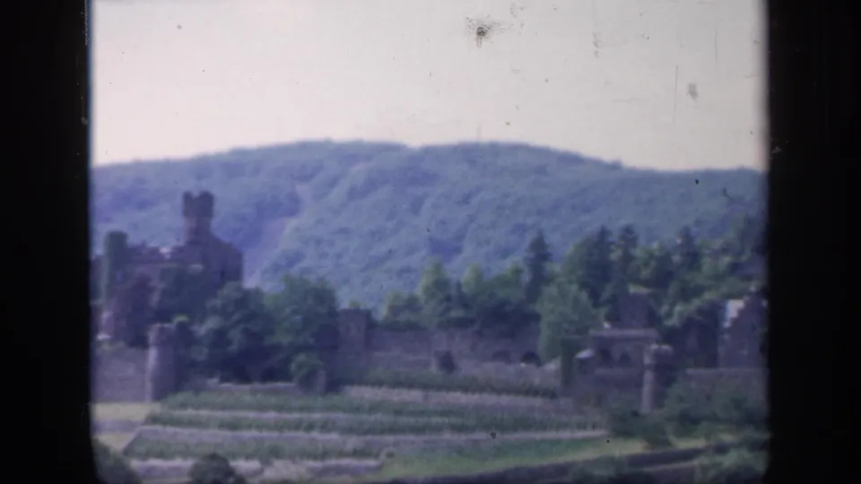 Distant Irish castle ruins and stone walls appear across terraced garden rows, framed by trees and soft green hills.