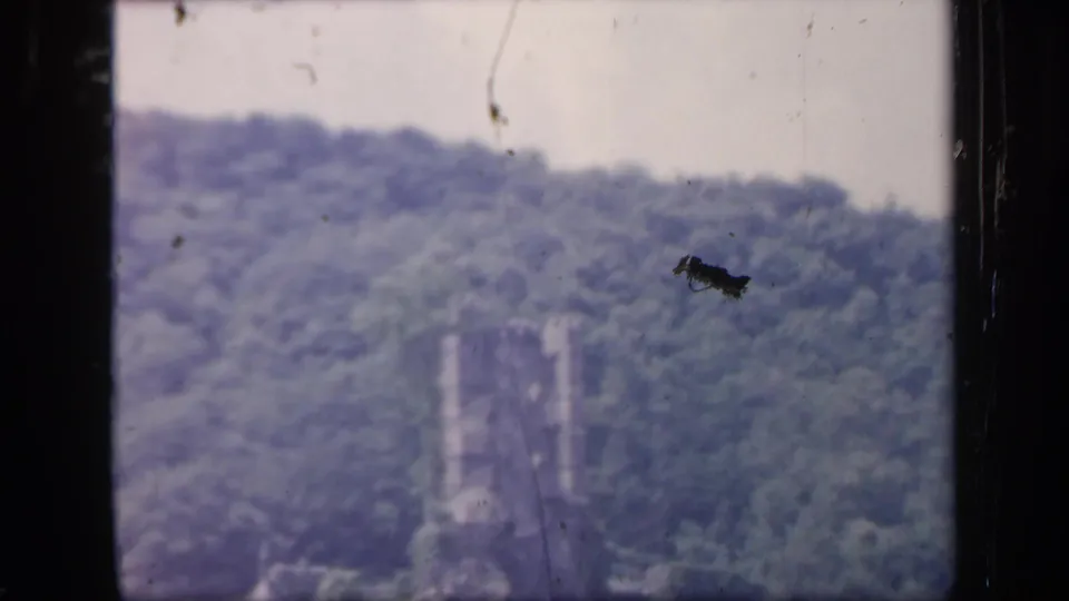 Final 1949 Ireland frame of the wooded hillside and stone ruin, with prominent dust and dark window framing visible.