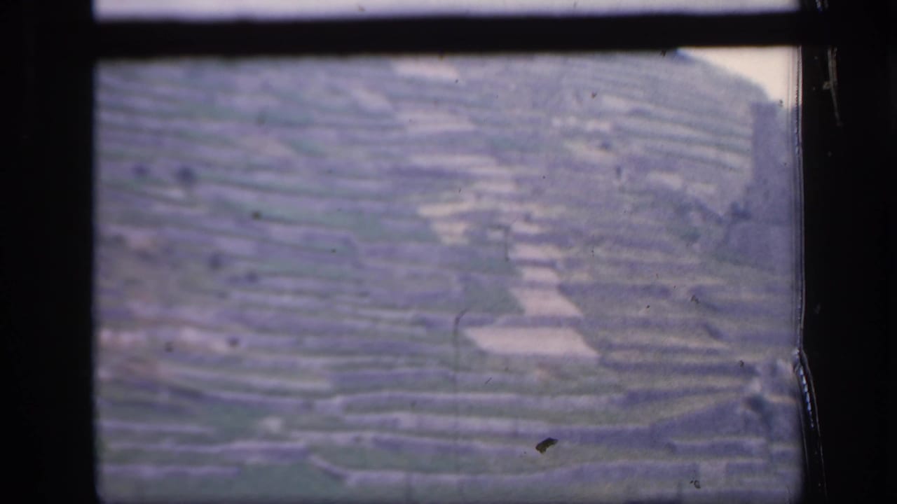 Terraced hillside fields with pale patches and dark film borders.