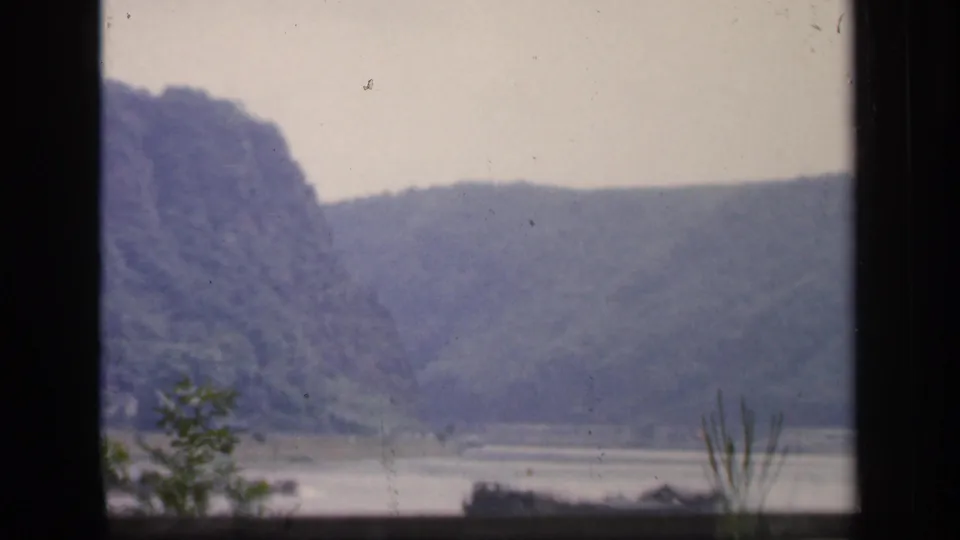 Window-framed 1949 Ireland scenery with hazy wooded hills, water, and small plants in the foreground.