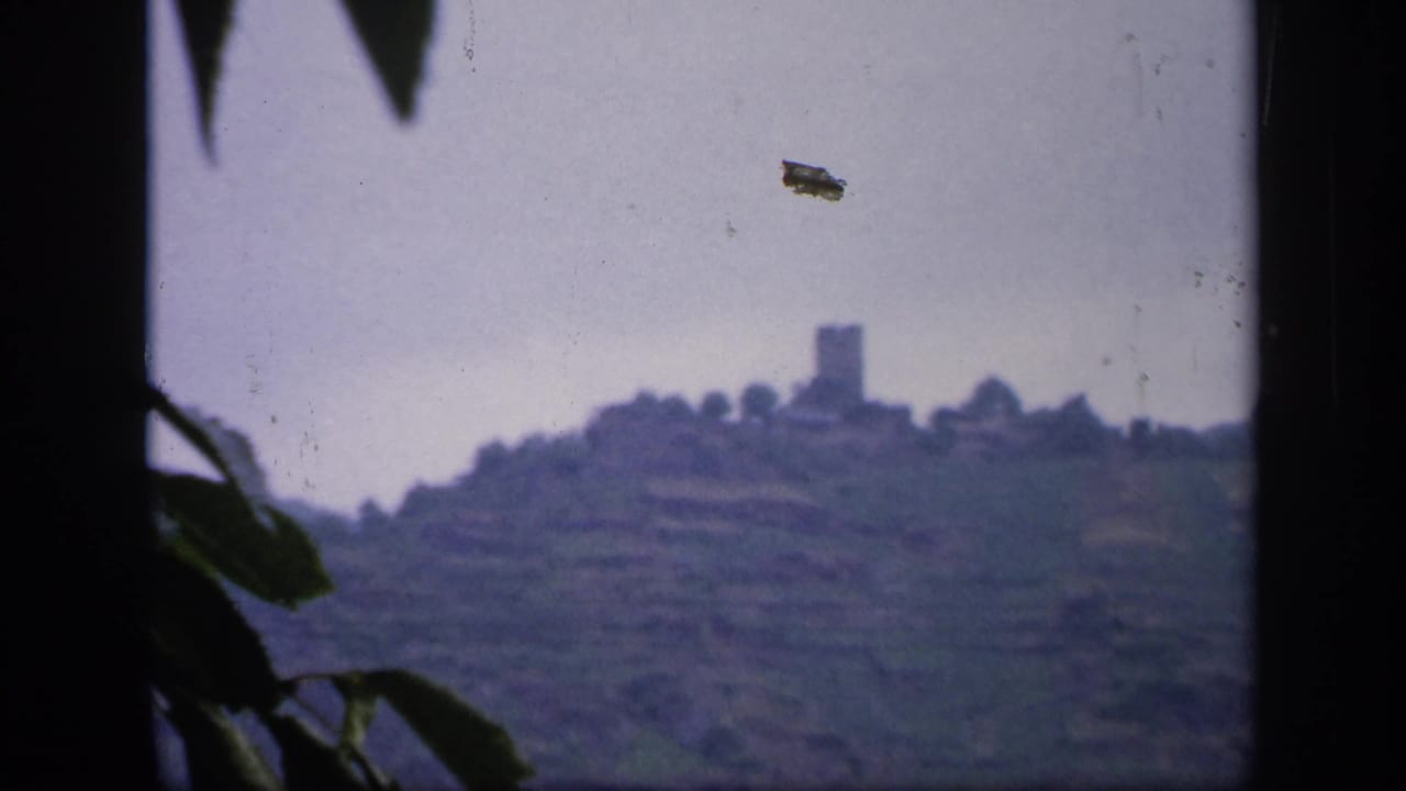 1949 Ireland 8mm frame showing a hazy hillside and distant tower or ruin, with dark foreground foliage along the left side.