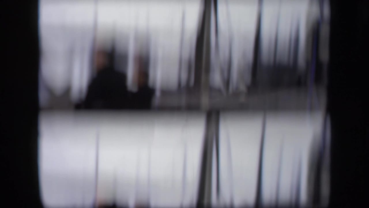 Blurred vertical lines and a dark figure appear through a soft, unstable frame.