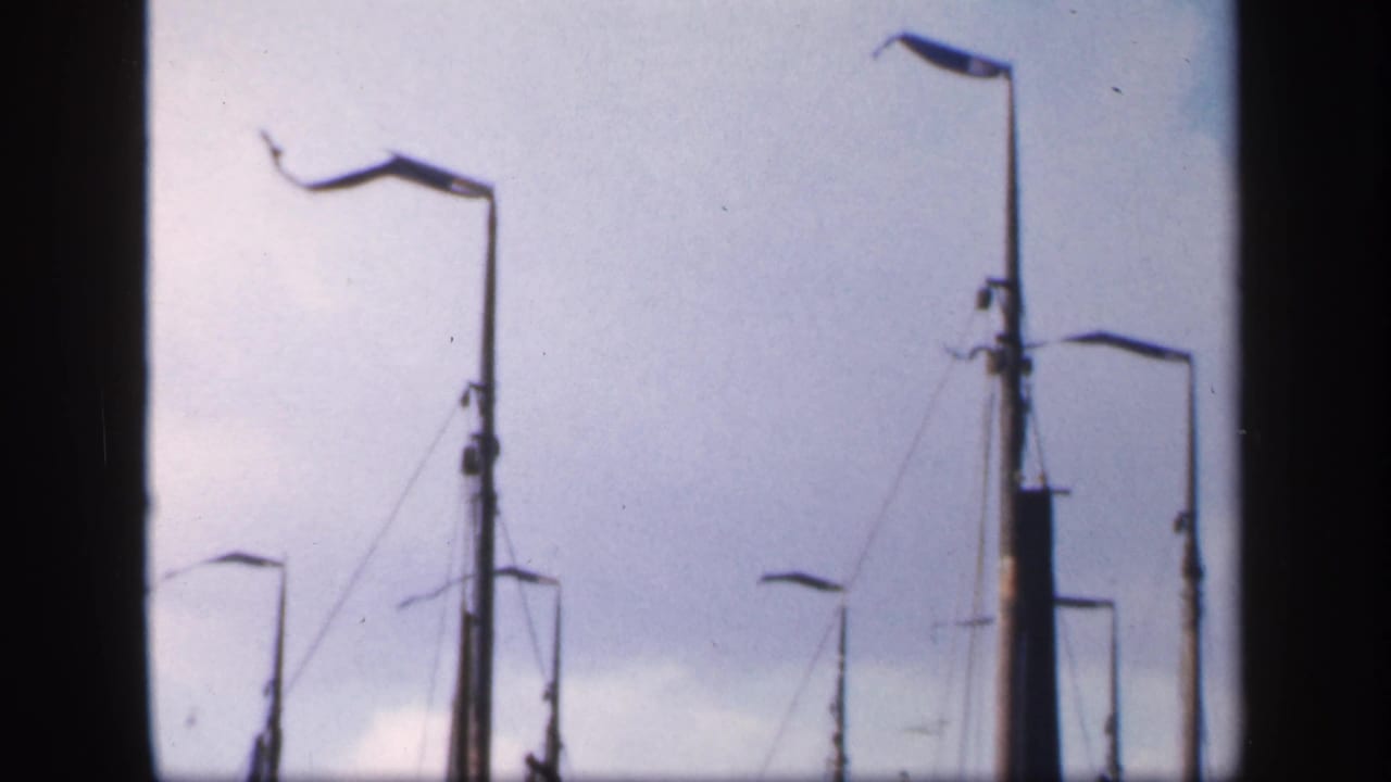Moored sailboat masts and dock lamps against a pale sky.