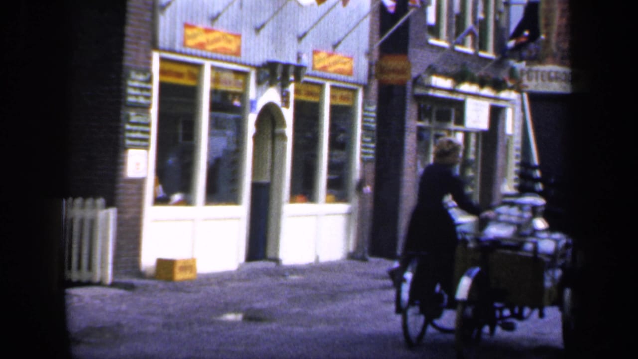 Woman with a bicycle and sidecar moves along the street near storefronts.