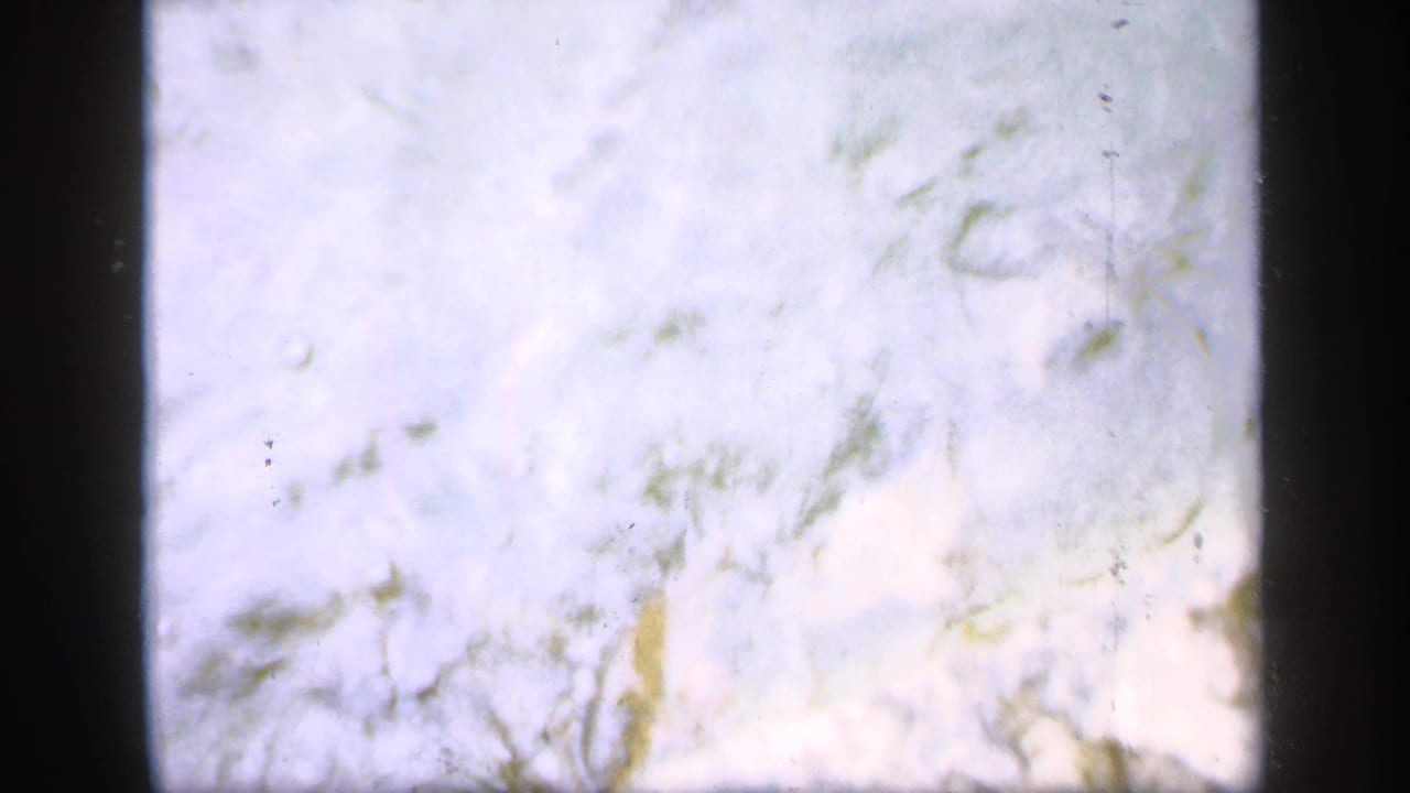 Soft 8mm frame from Ireland 1949 showing pale pond water, faint debris, and dark film borders.