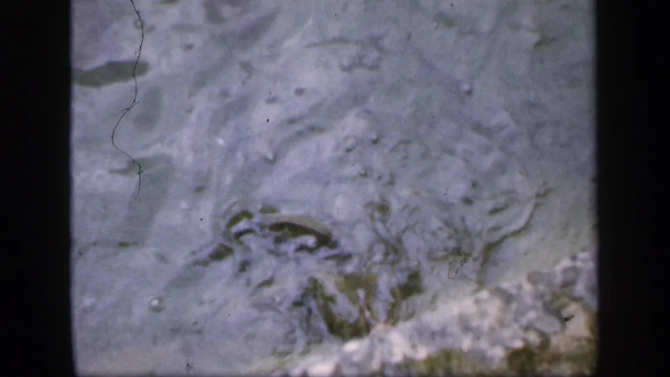 Close 8mm view of shallow Irish pond water with bubbles, ripples, and a pale edge in the lower frame.