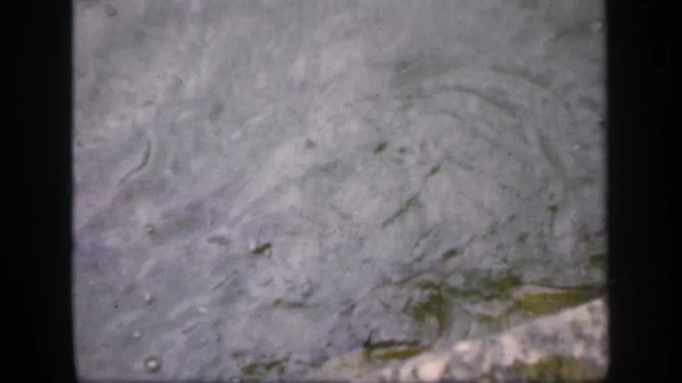 1949 Ireland archival frame showing murky water and a small fish shape near the lower right edge.