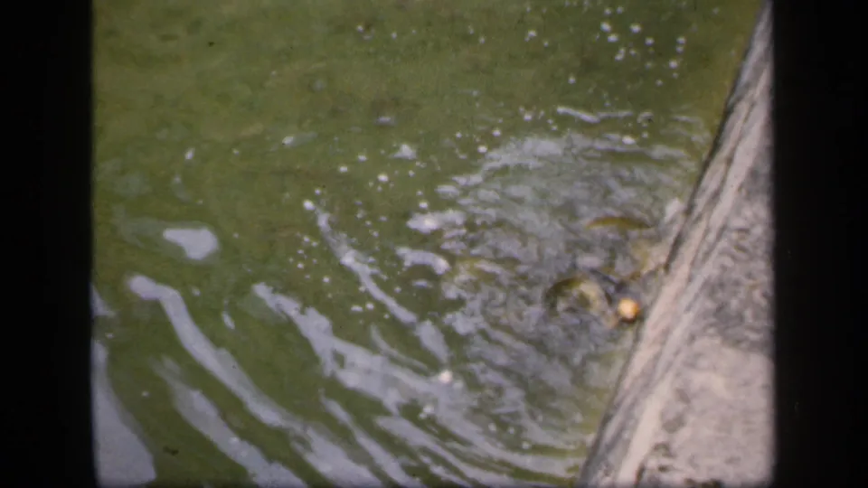 1949 8mm home-movie frame showing green water with ripples and foam beside a hard-edged embankment or basin.