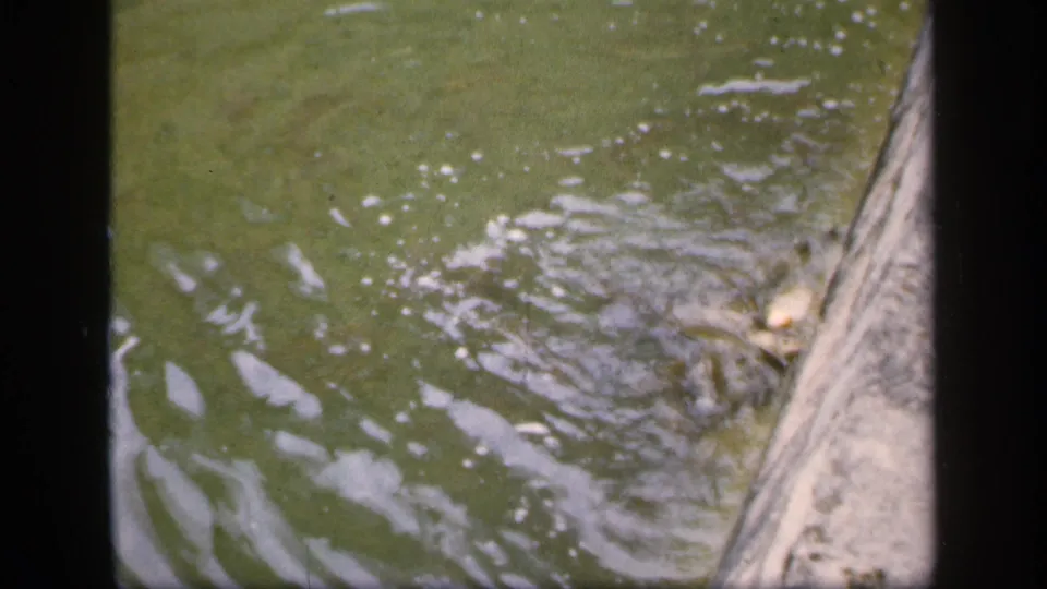 1949 8mm frame showing green water, foam, and a stone or concrete edge, with the scanned film border visible around the frame.