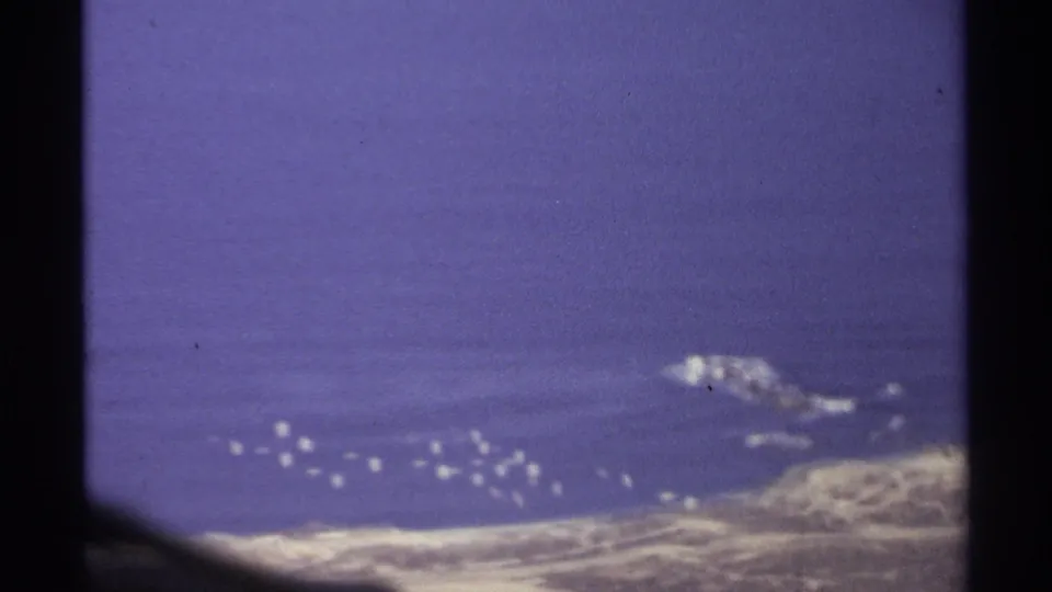 1974 Cabo San Lucas travel footage frame with deep blue water, rugged coast, and a loose line of white buoys or boats.