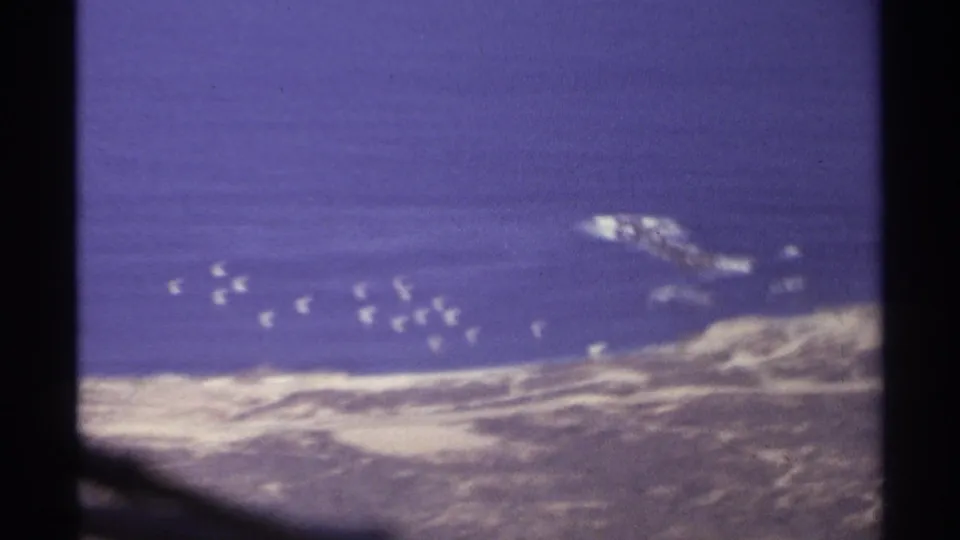 1974 Cabo San Lucas 8mm frame showing a high-angle view of ocean, surf, rocky shore, and clustered white buoys or boats.