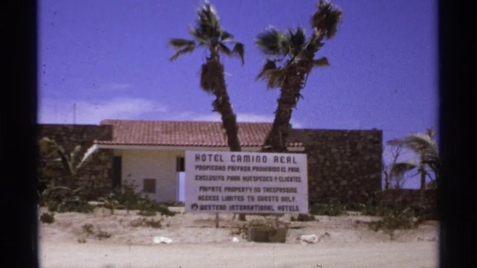 A Cabo San Lucas Hotel Camino Real sign is framed with palm trees, a stone wall, and a low resort building.