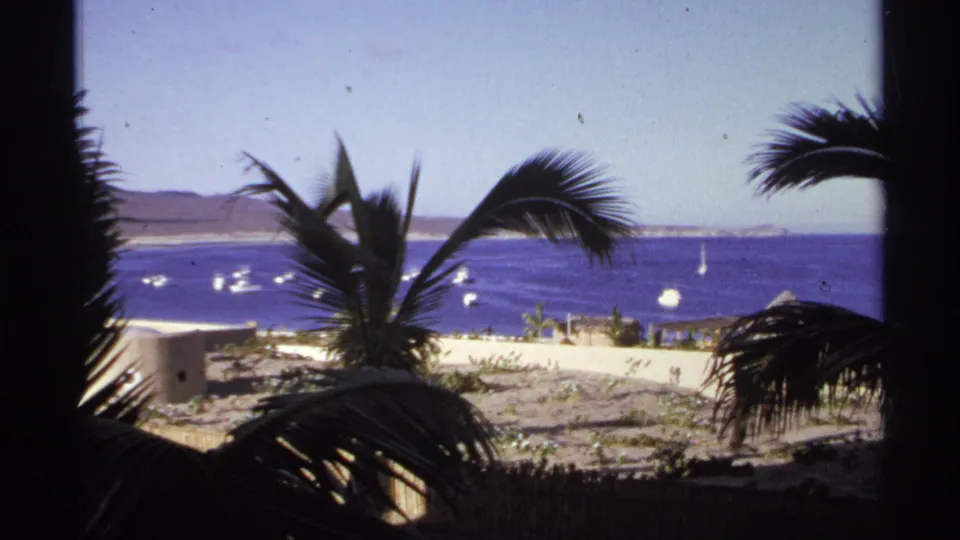 1974 Cabo San Lucas 8mm frame looking past dark palm fronds toward blue ocean water with small boats and a distant coastline.