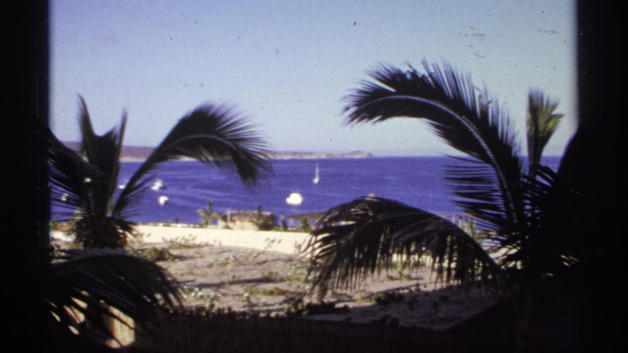 Palm trees in silhouette frame a bright beach and blue ocean with small sailboats offshore.