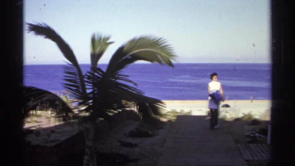 Adult woman in a white top and dark pants near the beach path in Cabo San Lucas, with palms and blue ocean behind.