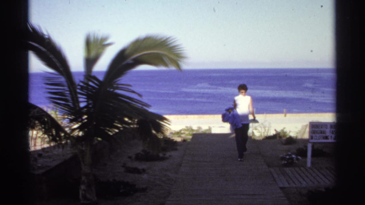 Person walks toward the camera on a beach path with a palm tree, ocean, sand, and signboard behind.