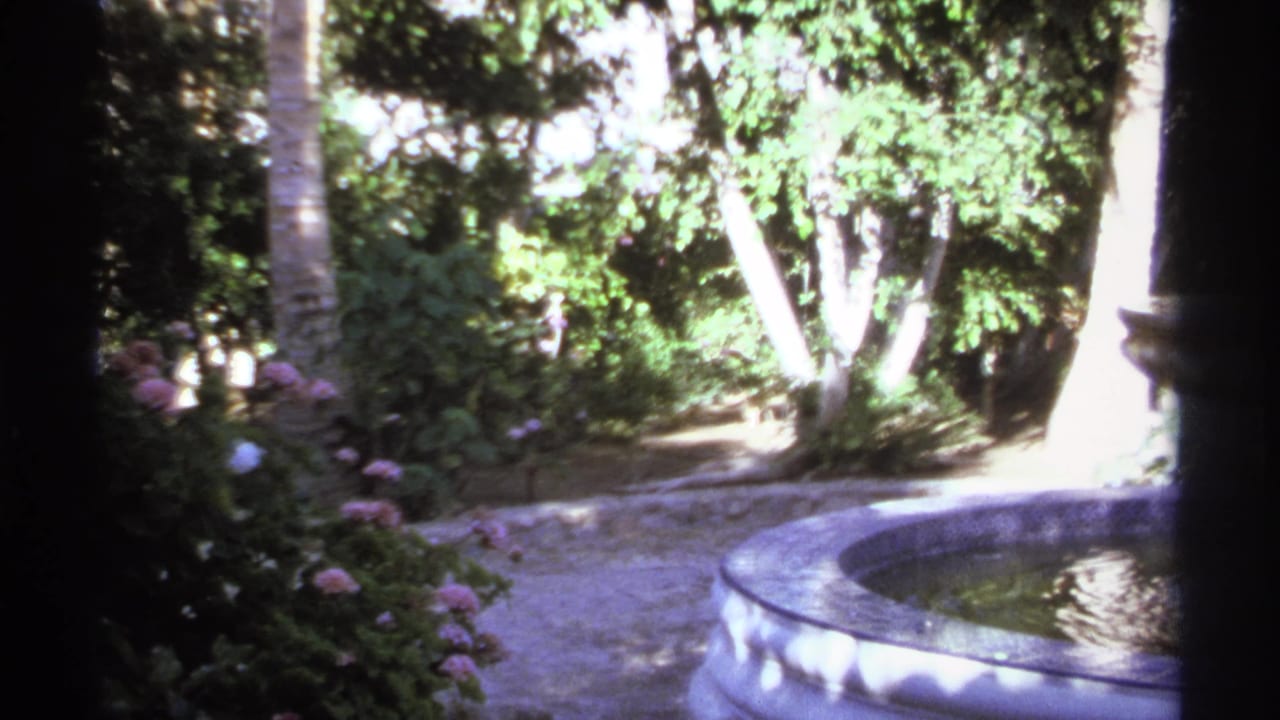 Garden foliage, curved walkway, and fountain basin with water at the right edge.