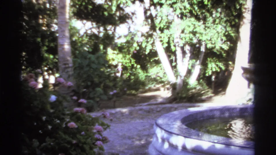 Sunlit Cabo San Lucas garden frame with palms, shrubs, a curved walkway, and the rounded edge of a fountain basin.