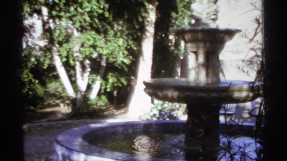 Cabo San Lucas garden frame showing a stone fountain column, round basin, palms, and dense sunlit greenery on 8mm film.